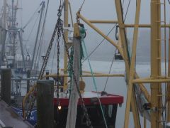 Büsum Nebel 5
Kutter im Hafen von Büsum aufgenommen mit Lumix GH2 und 2/50mm Leica Summicron R