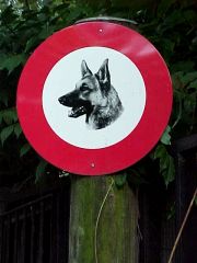 verboten für Schäferhunde